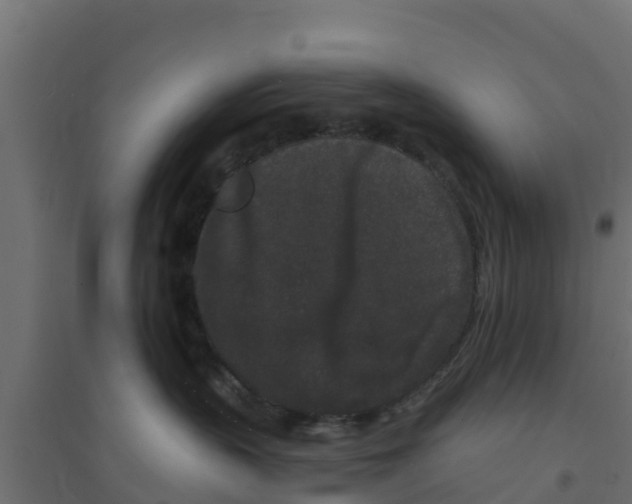 X0000094170383200711241535