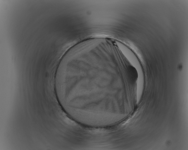 X0000094170385200711241535