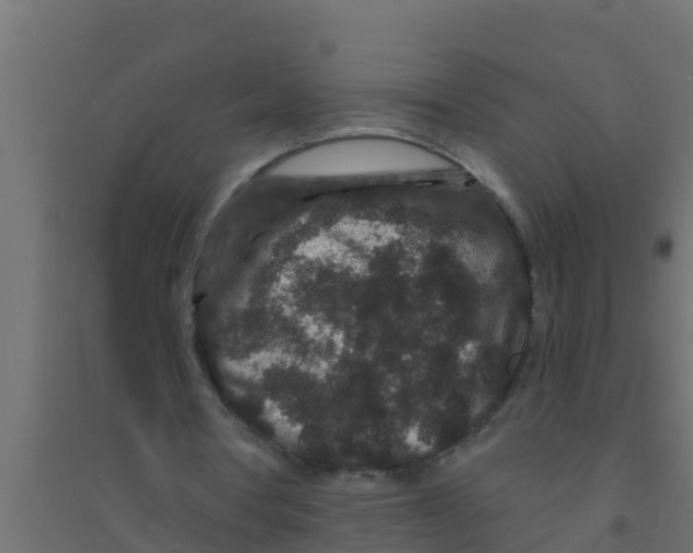 X0000094170386200711241535