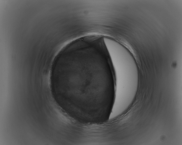 X0000094170387200711241535