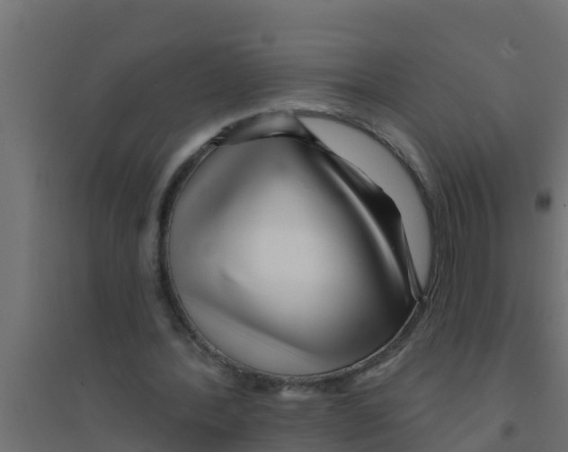 X0000094170388200711241535
