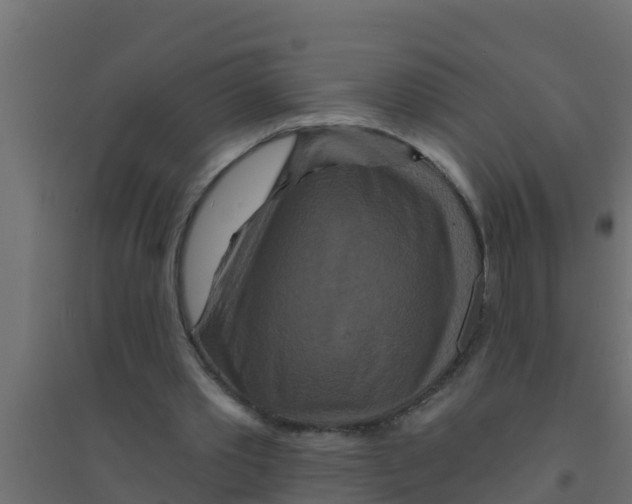 X0000094170389200711241535