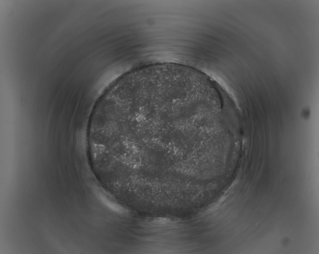 X0000094170390200711241535