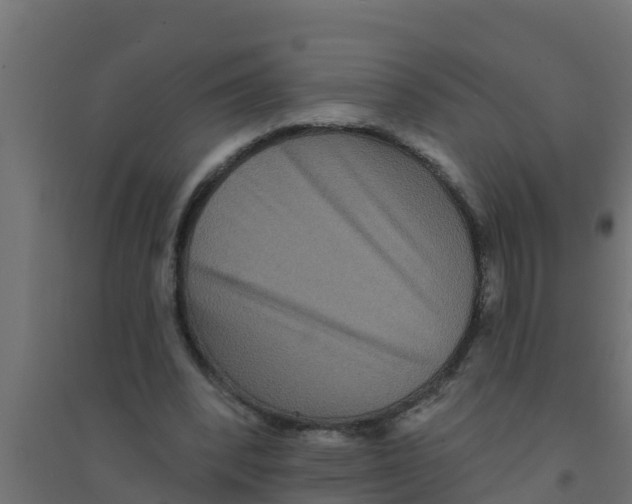X0000094170392200711241535