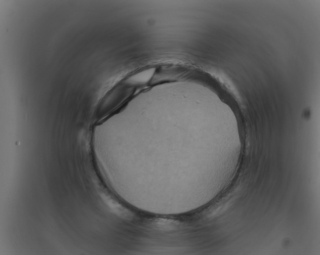 X0000094170393200711241534