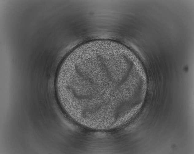 X0000094170394200711241534