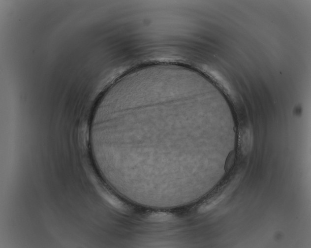 X0000094170397200711241534