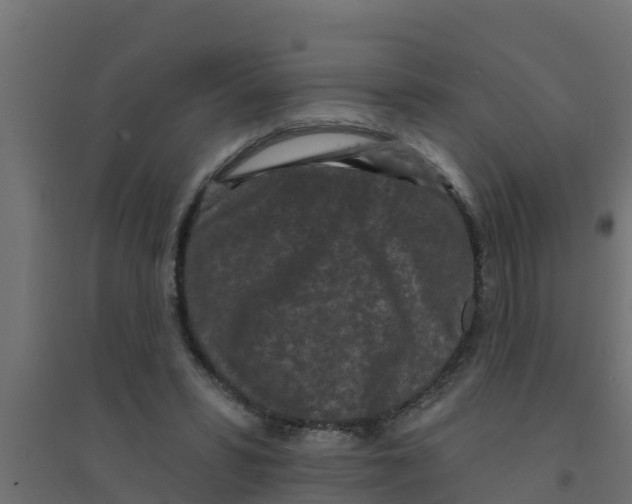 X0000094170399200711241534