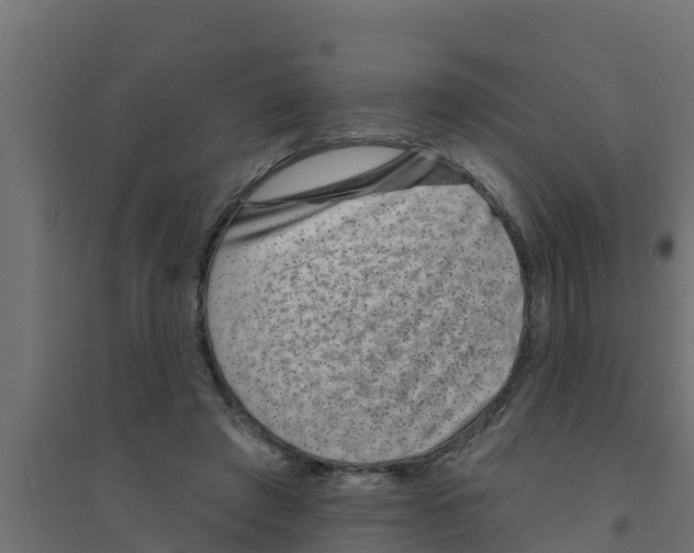 X0000094170401200711241534