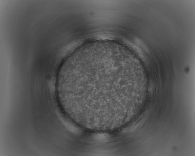 X0000094170402200711241534