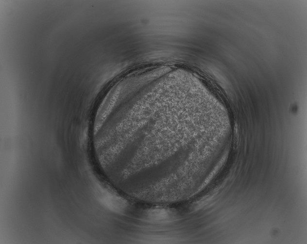 X0000094170404200711241534