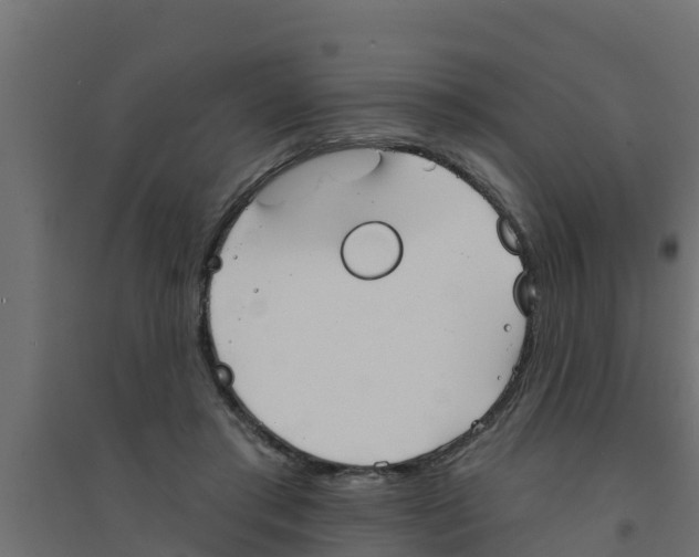 X0000094170405200711241534