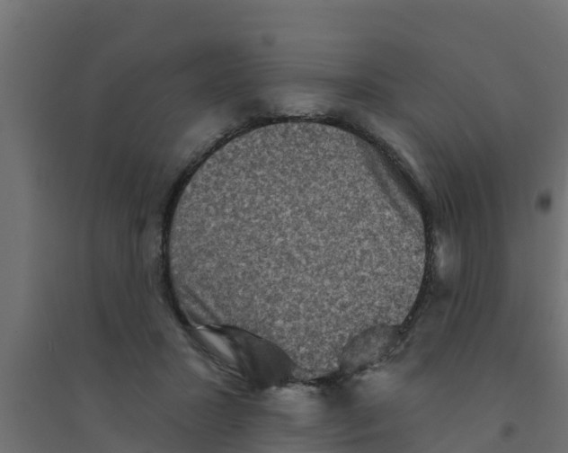 X0000094170407200711241534