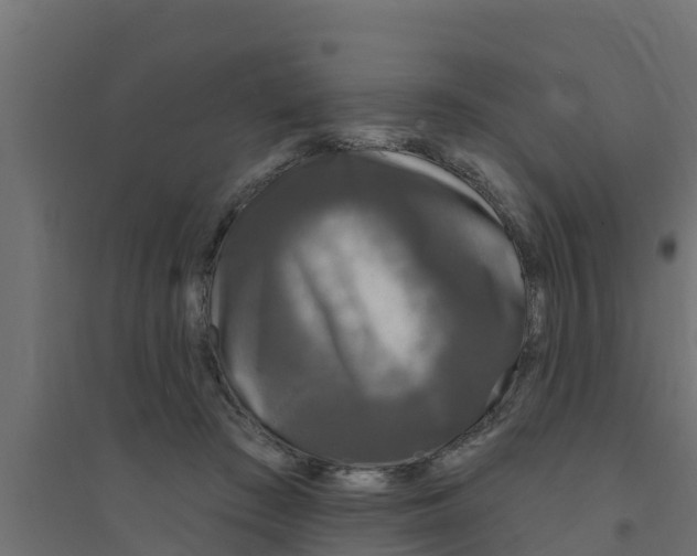 X0000094170409200711241534