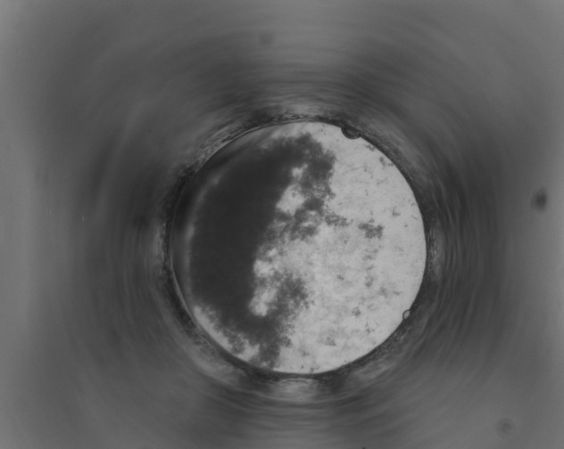 X0000094170410200711241534