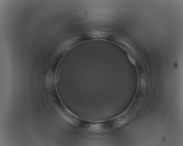 X0000094170411200711241534