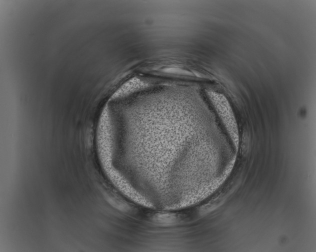 X0000094170413200711241534