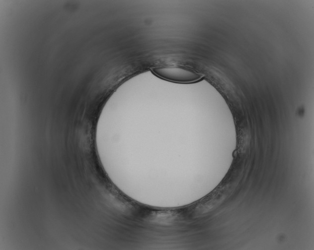 X0000094170414200711241534