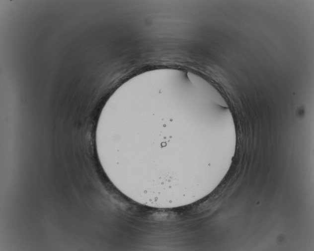 X0000094170415200711241534