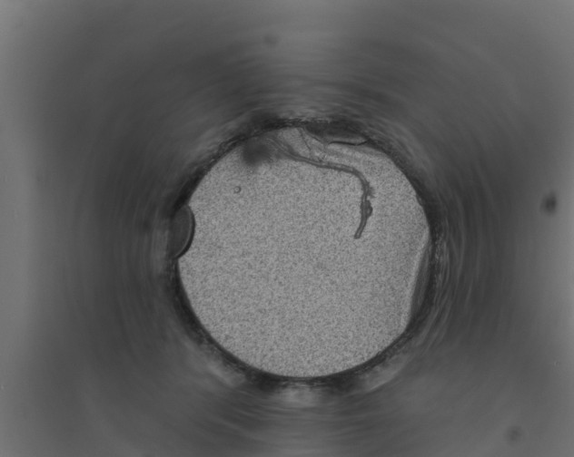X0000094170416200711241534
