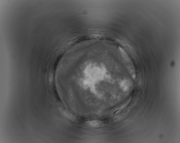 X0000094170417200711241534