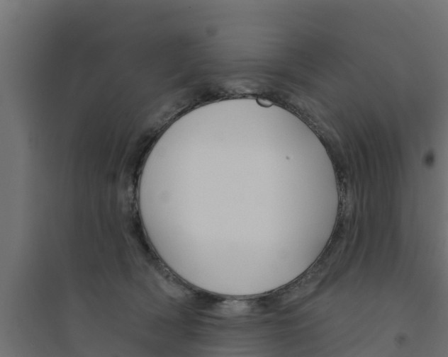X0000094170418200711241534