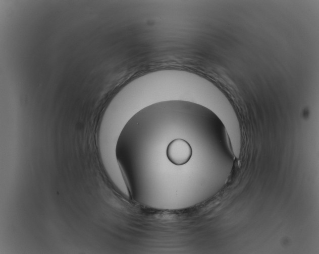 X0000094170419200711241534