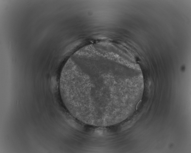 X0000094170420200711241534