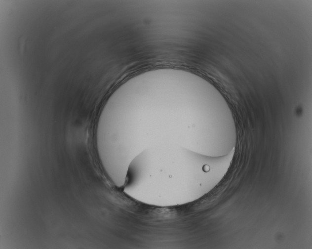 X0000094170421200711241534