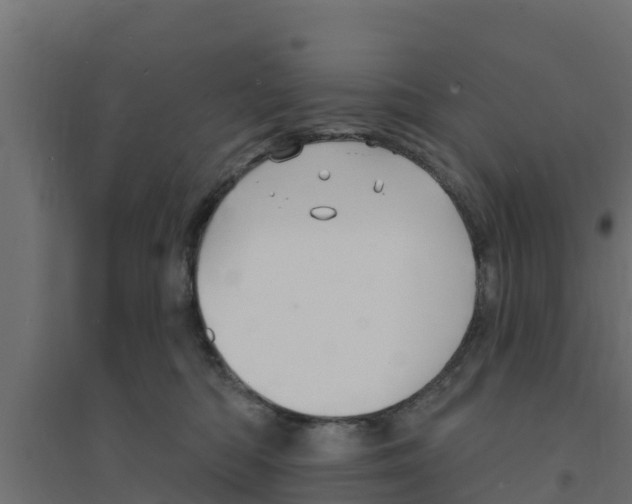 X0000094170422200711241534