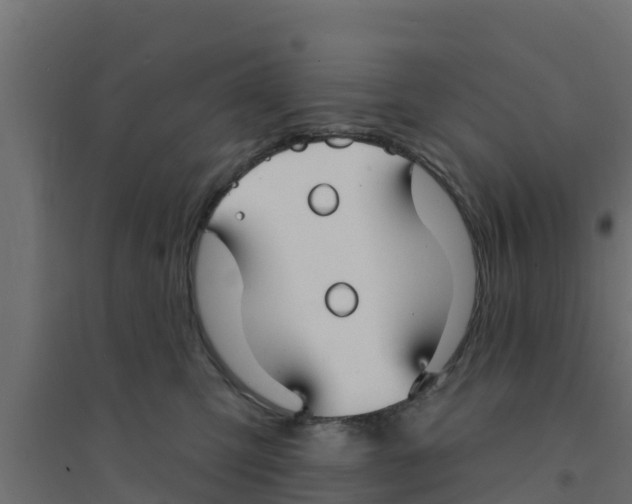 X0000094170423200711241534