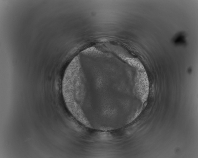 X0000094170424200711241534