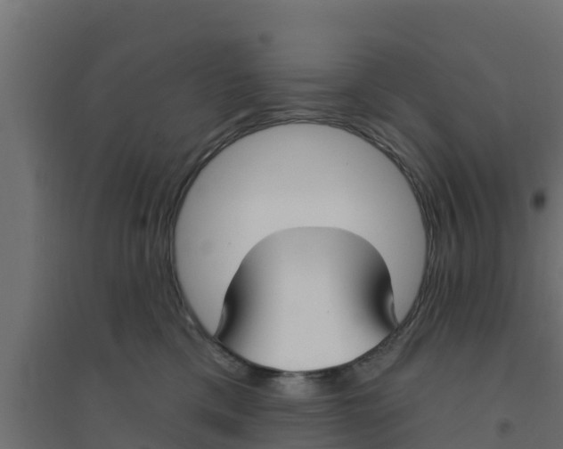 X0000094170425200711241534