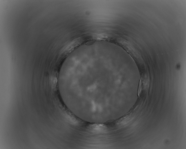 X0000094170427200711241534