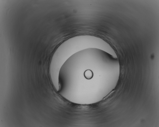 X0000094170428200711241534