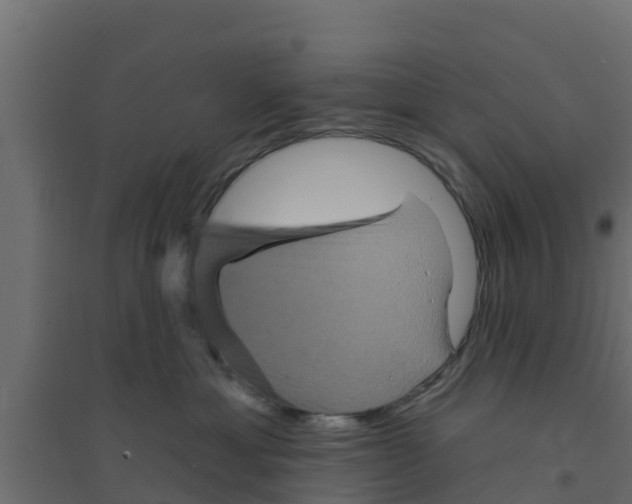 X0000094170429200711241534