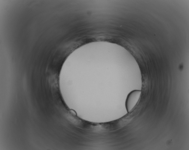 X0000094170430200711241534
