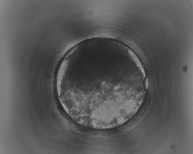 X0000094170434200711241533