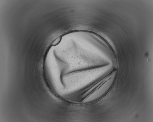 X0000094170437200711241533