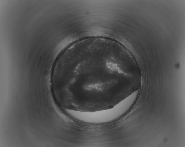 X0000094170438200711241533