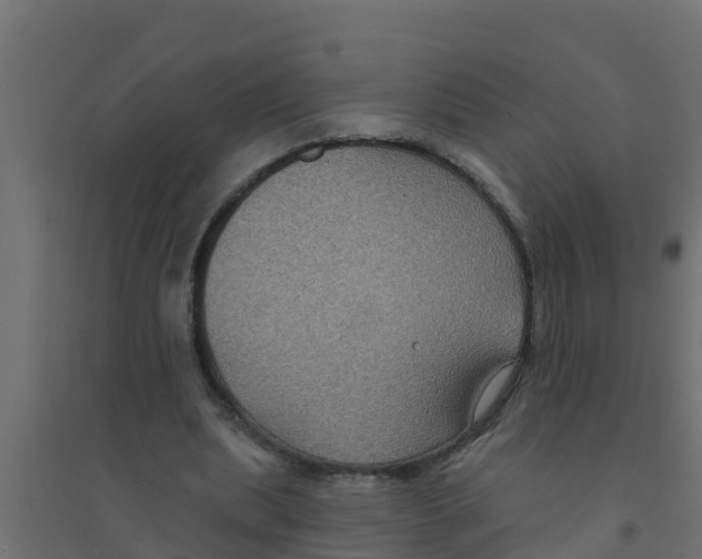 X0000094170439200711241533
