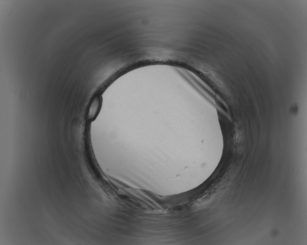 X0000094170440200711241533