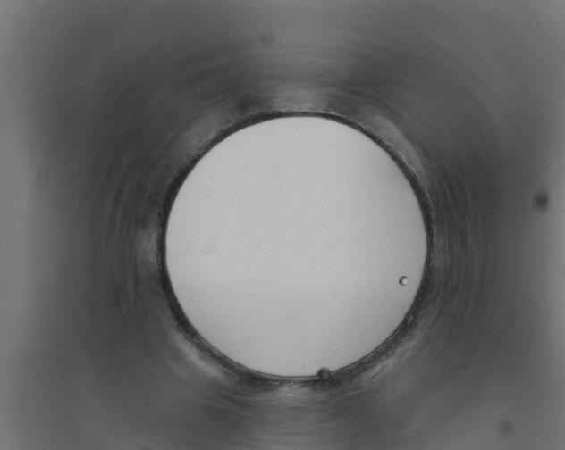 X0000094170441200711241533
