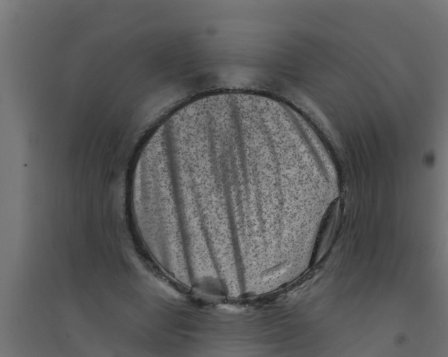 X0000094170442200711241533