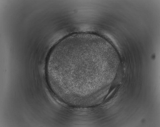 X0000094170443200711241533