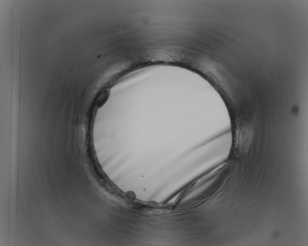 X0000094170444200711241533