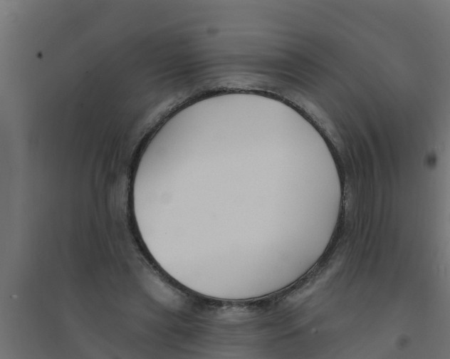 X0000094170445200711241533