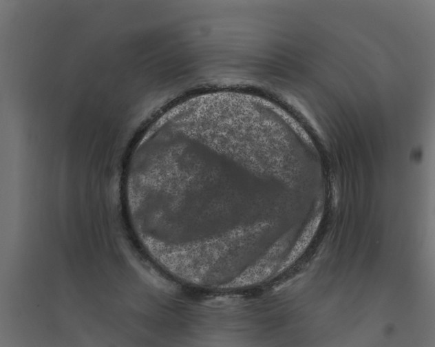 X0000094170447200711241533