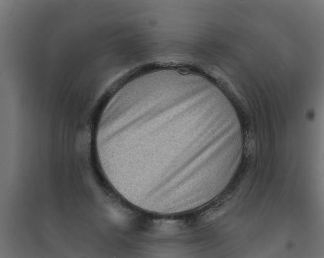 X0000094170448200711241534