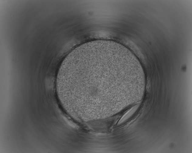 X0000094170449200711241534